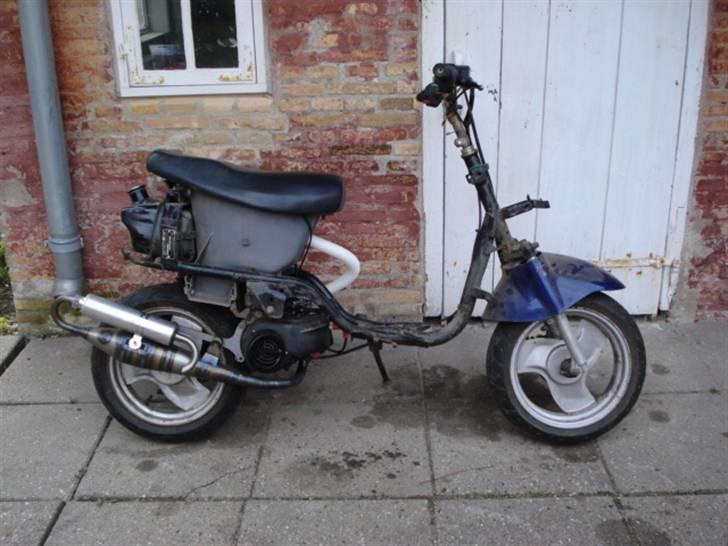 Adly Cat 50 billede 2