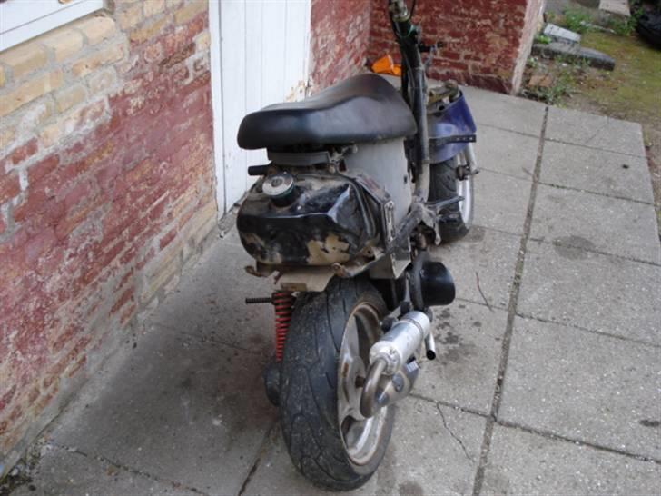 Adly Cat 50 billede 3