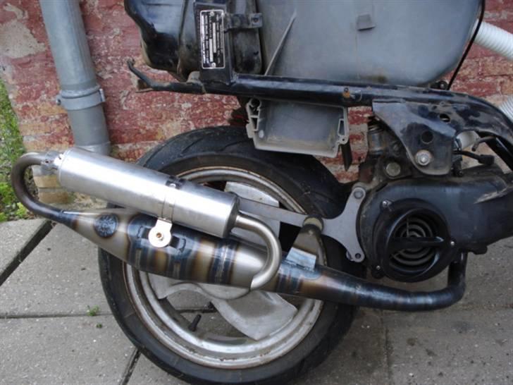 Adly Cat 50 billede 4