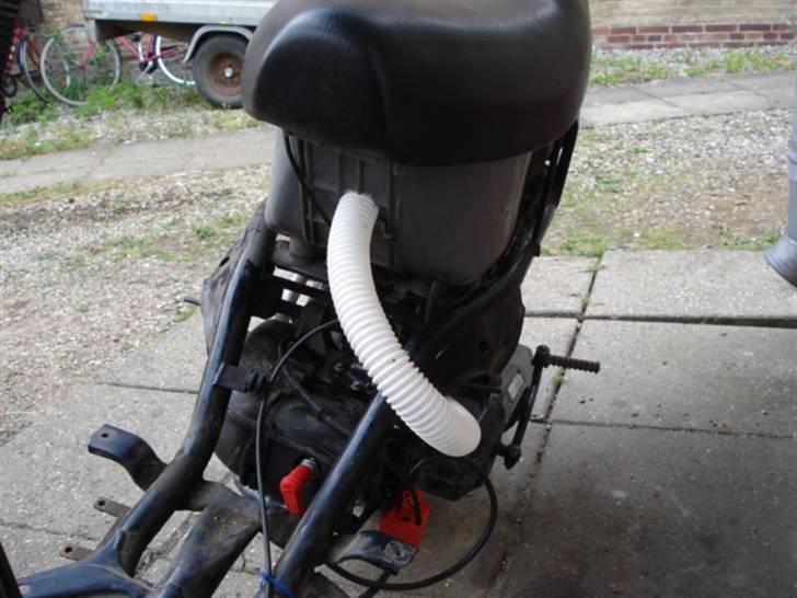 Adly Cat 50 billede 5