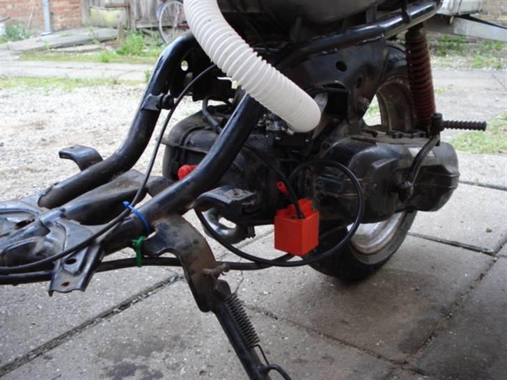 Adly Cat 50 billede 6