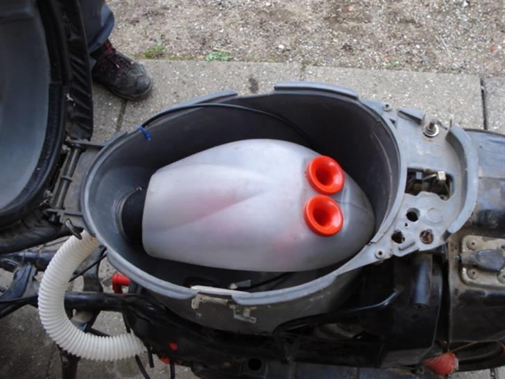 Adly Cat 50 billede 7