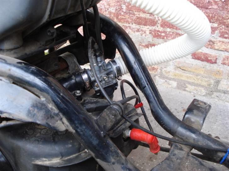 Adly Cat 50 billede 8