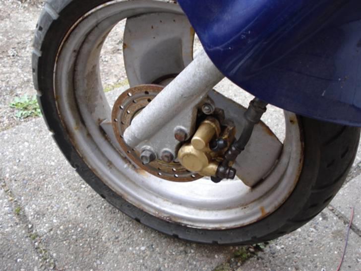 Adly Cat 50 billede 9