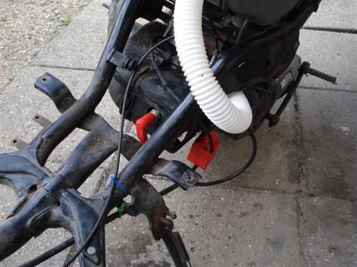 Adly Cat 50 billede 10