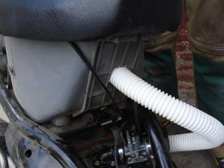 Adly Cat 50 billede 11