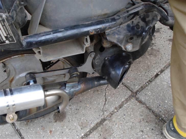 Adly Cat 50 billede 12