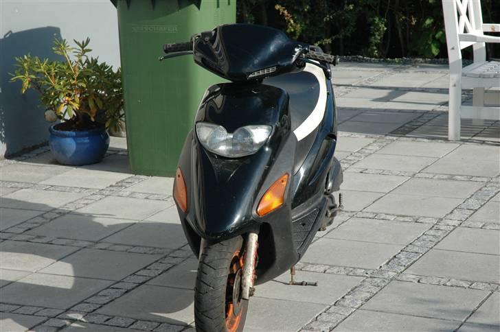 Honda SFX (SOLGT) billede 2