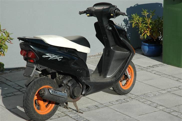 Honda SFX (SOLGT) billede 4