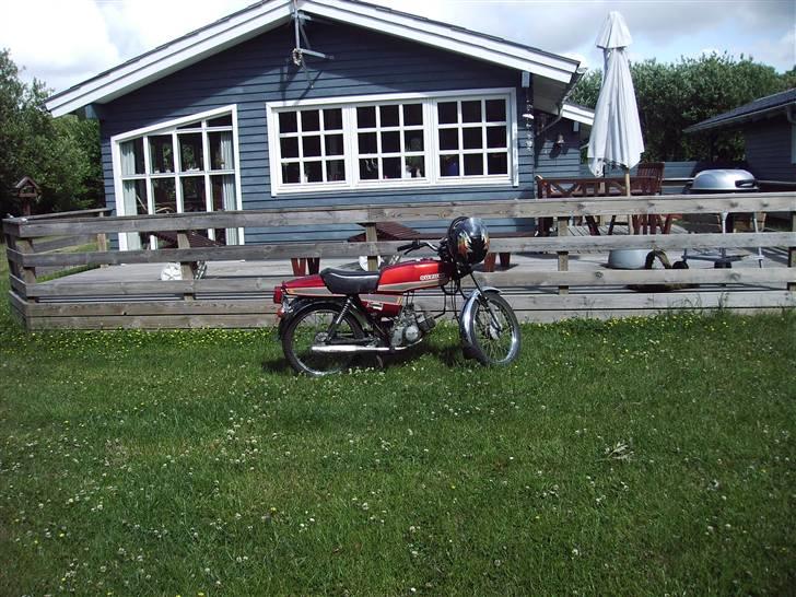 Suzuki dm 50 (sommerhus bke )  billede 18