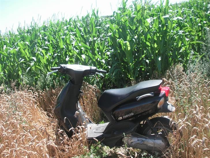 Yamaha neos  billede 9