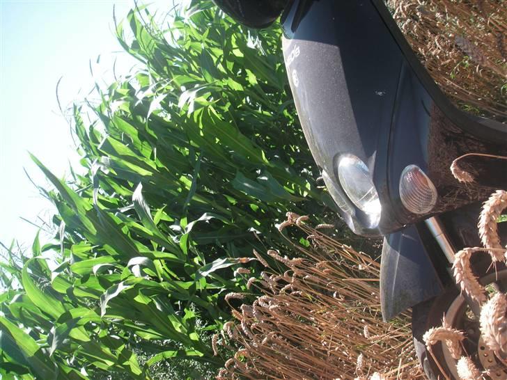 Yamaha neos  billede 11