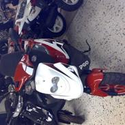 PGO Hot 50 *HVERDAGS*