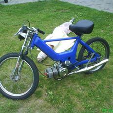 Puch maxi k racer