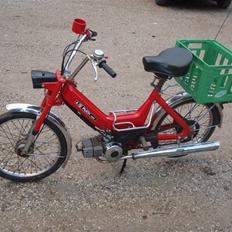 Puch Maxi - Pussy magnet