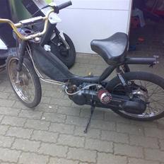 Honda Camino Polini SOLGT