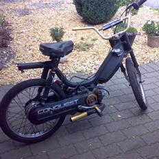 Honda Camino Polini SOLGT