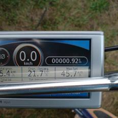 MiniBike Løbehjul BladeZ Moby XL