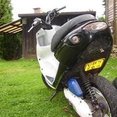 PGO Black Magic [SOLGT]