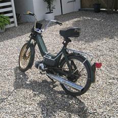 Puch Maxi *SOLGT*