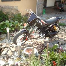 Suzuki street SR50 AC DD (væk)