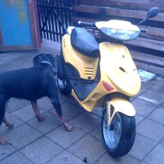 Adly baboon k (solgt)