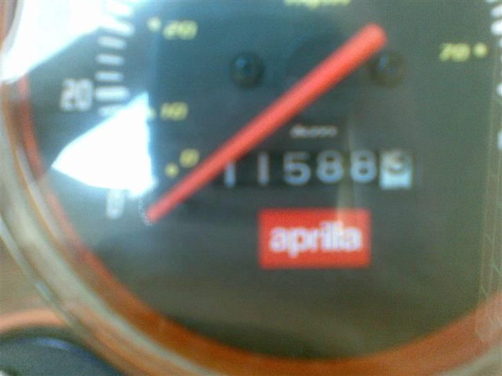 Aprilia Rally billede 5