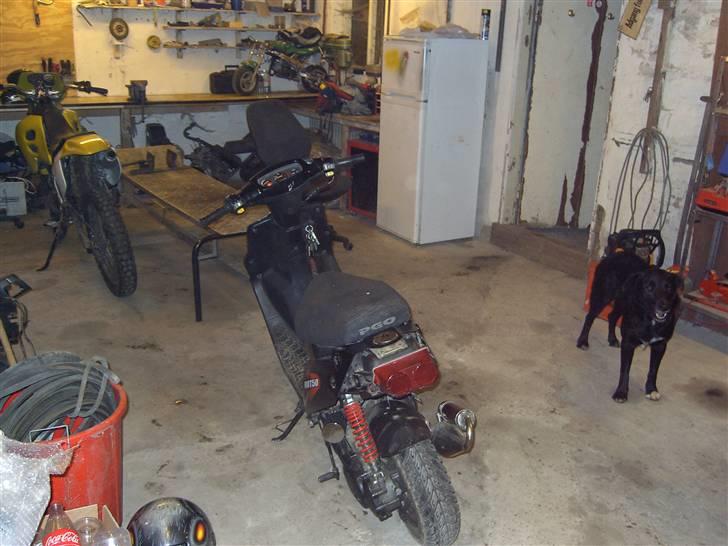 PGO  hot 50 byttet billede 5