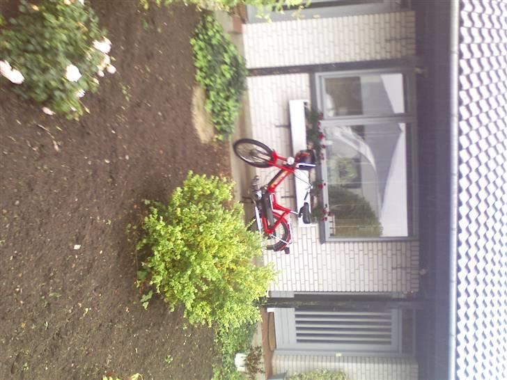 Puch Maxi K - SOLGT! billede 2