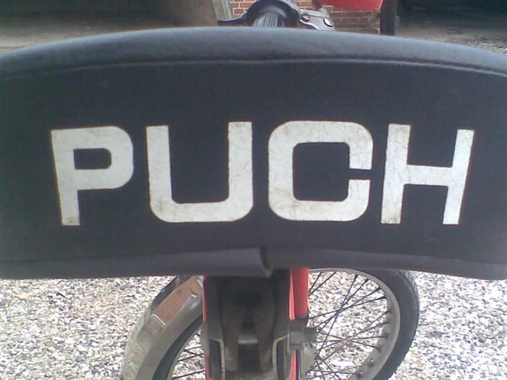 Puch Maxi - Pussy magnet billede 7