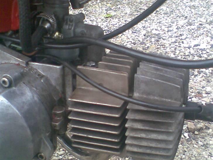 Puch Maxi - Pussy magnet billede 8