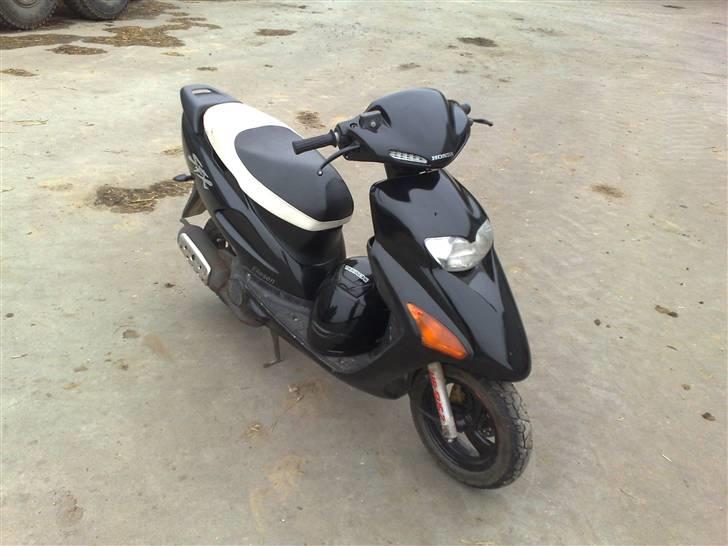 Honda sfx  billede 1