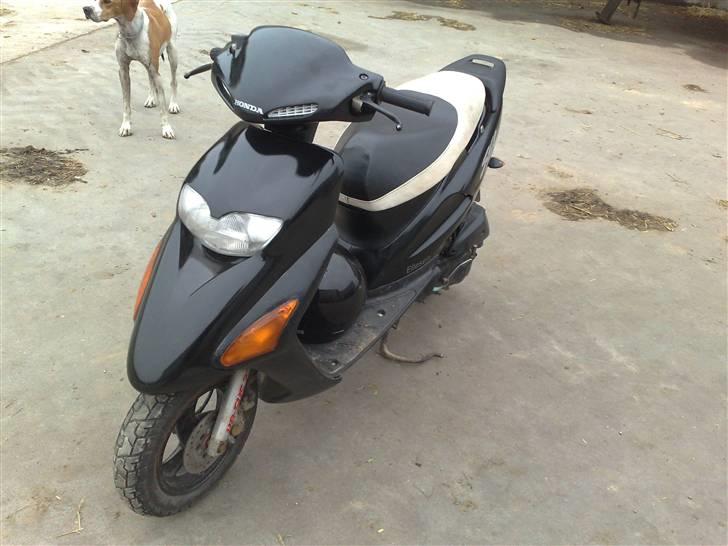 Honda sfx  billede 4