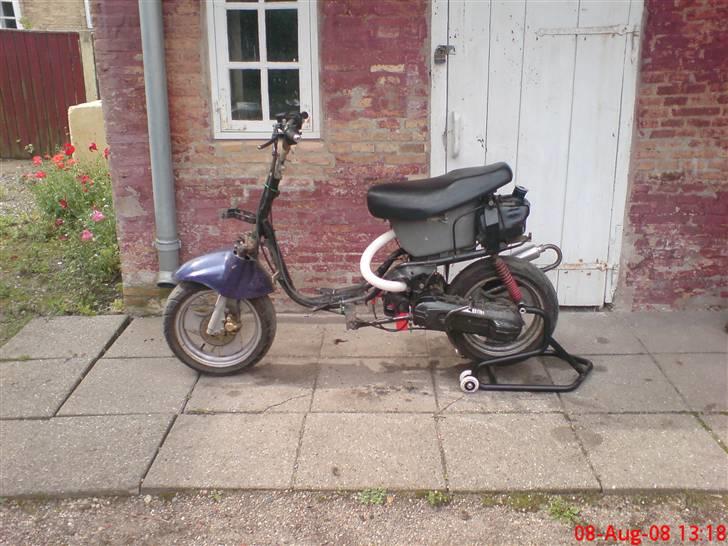 Adly Cat 50 billede 13