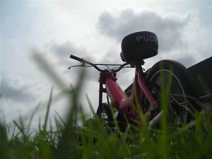 Puch Maxien Solgt billede 6