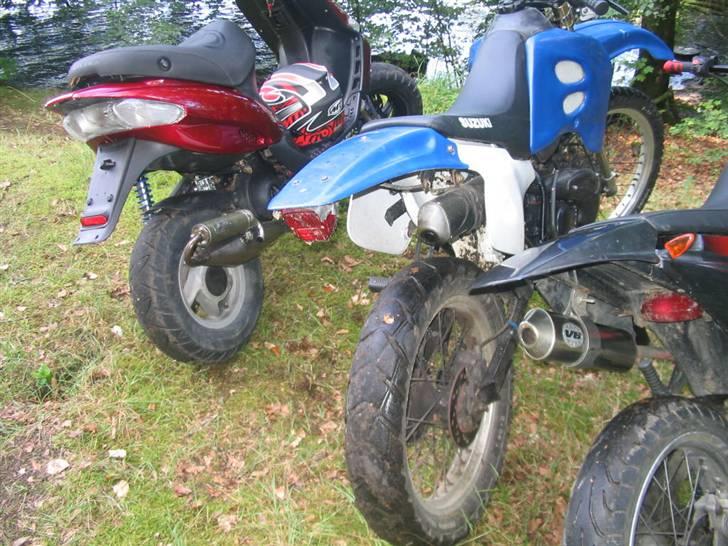 Gilera stalker solgt billede 19