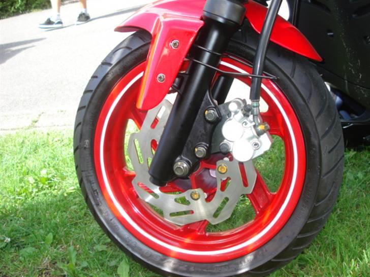 PGO PMX No Fear - 13" Alu og wave disc brake billede 6