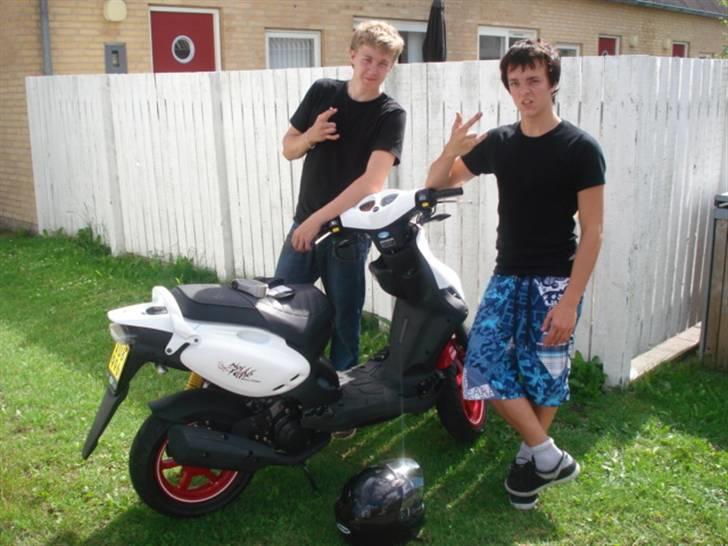 PGO PMX No Fear - En bandit og en nisse billede 8