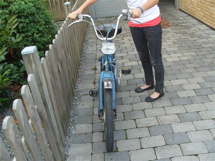 Piaggio Ciao *  * billede 2