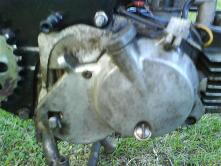 Puch Maxi P billede 16