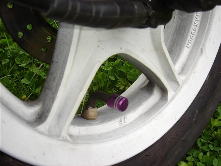 PGO Black Magic [SOLGT] billede 14