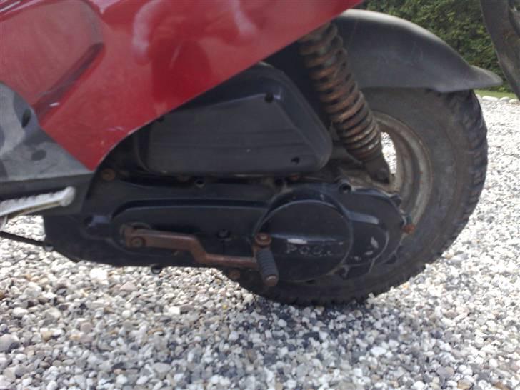 PGO big max solgt billede 3