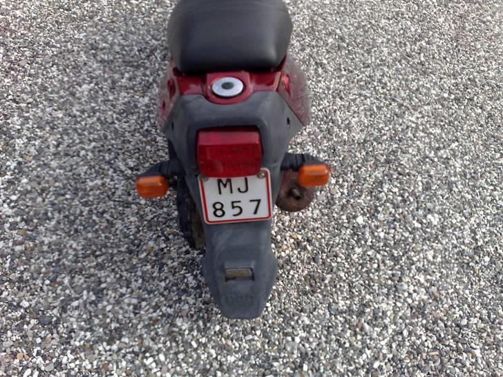 PGO big max solgt billede 4