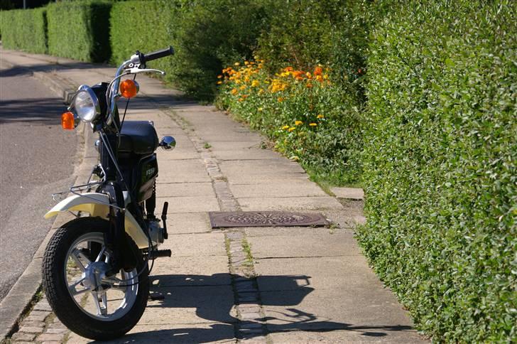 Suzuki Fz 50 solgt billede 5