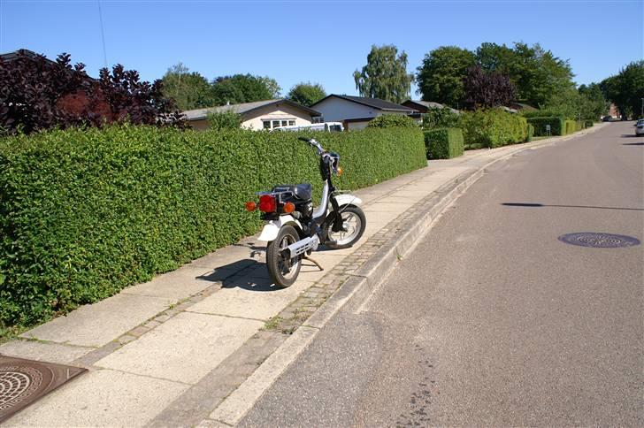 Suzuki Fz 50 solgt billede 9