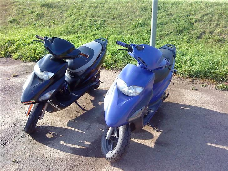 Honda SFX (Solgt) billede 6