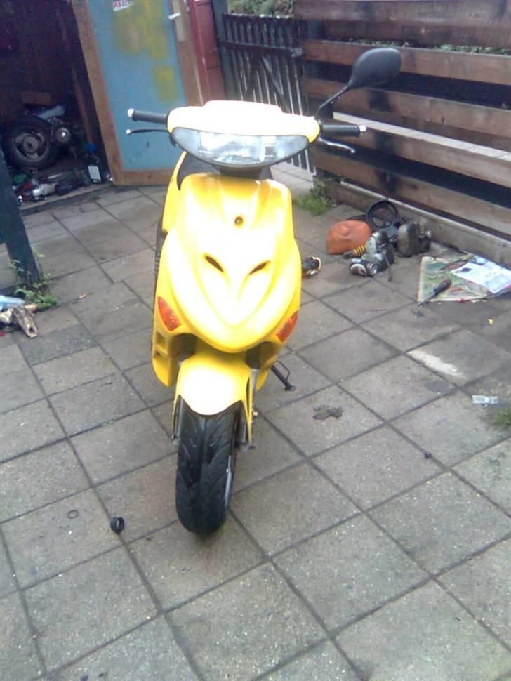 Adly baboon k (solgt) billede 1