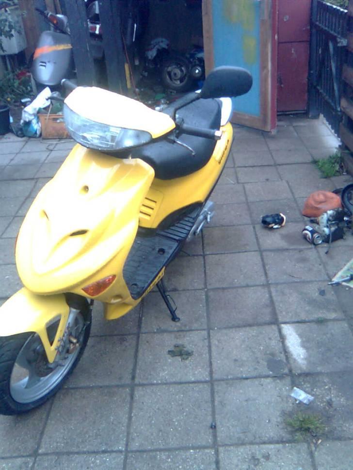 Adly baboon k (solgt) billede 3