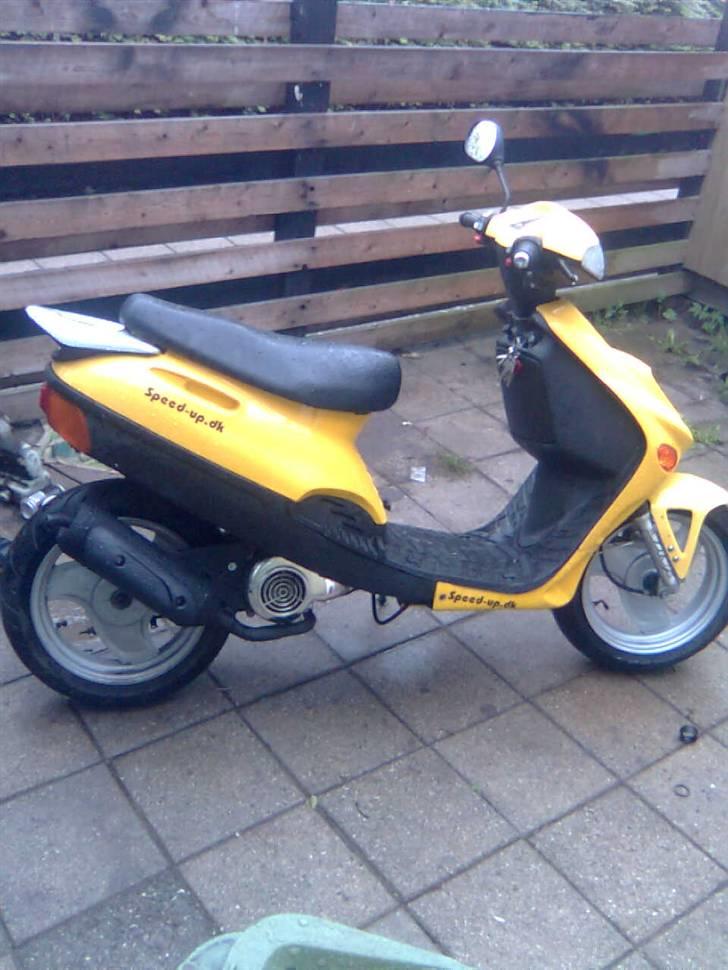 Adly baboon k (solgt) billede 4