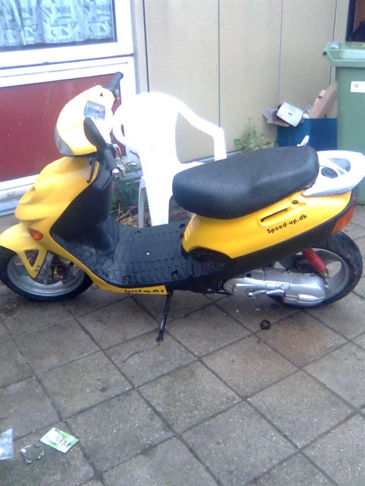 Adly baboon k (solgt) billede 5